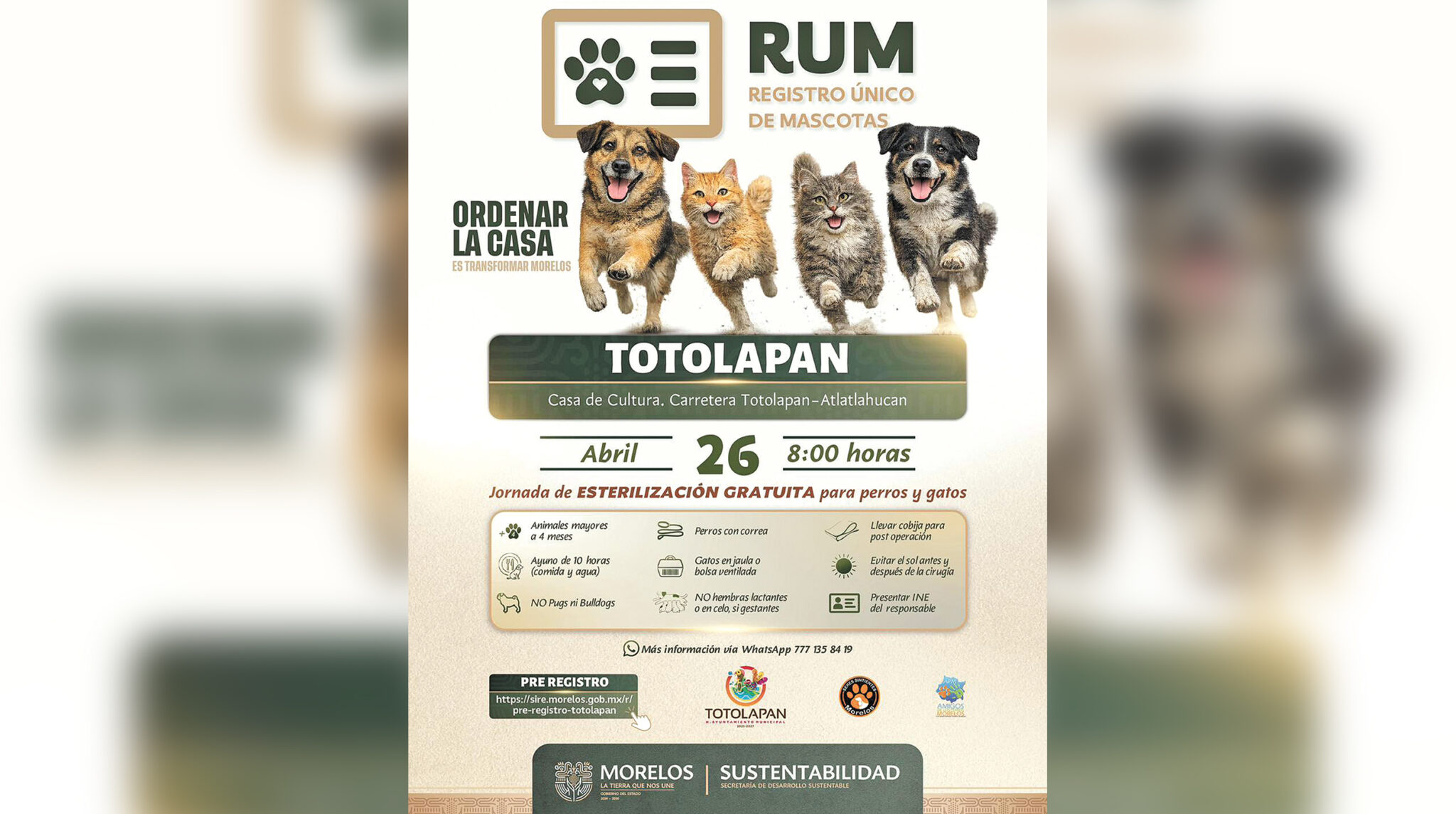 Totolapan organiza jornada gratuita de esterilización de mascotas