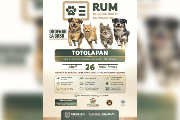 Totolapan organiza jornada gratuita de esterilización de mascotas