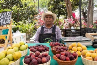 Mercadito Finca Palmira incentiva consumo local en Cuernavaca