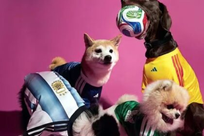 Adidas lanza jerseys de selecciones 2026 para mascotas