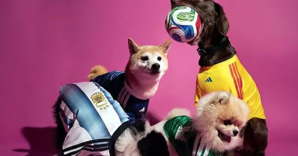 Adidas lanza jerseys de selecciones 2026 para mascotas