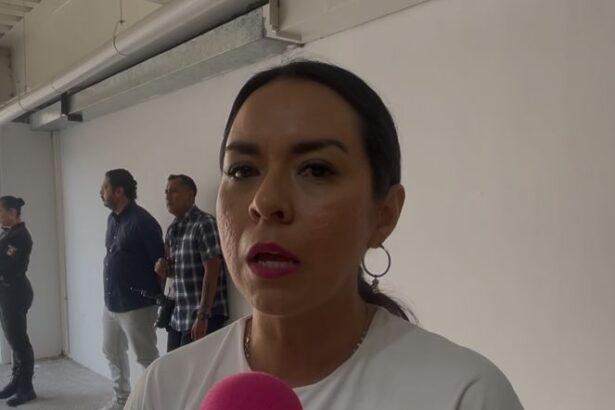 Impepac definirá registro de cuatro nuevos partidos en Morelos