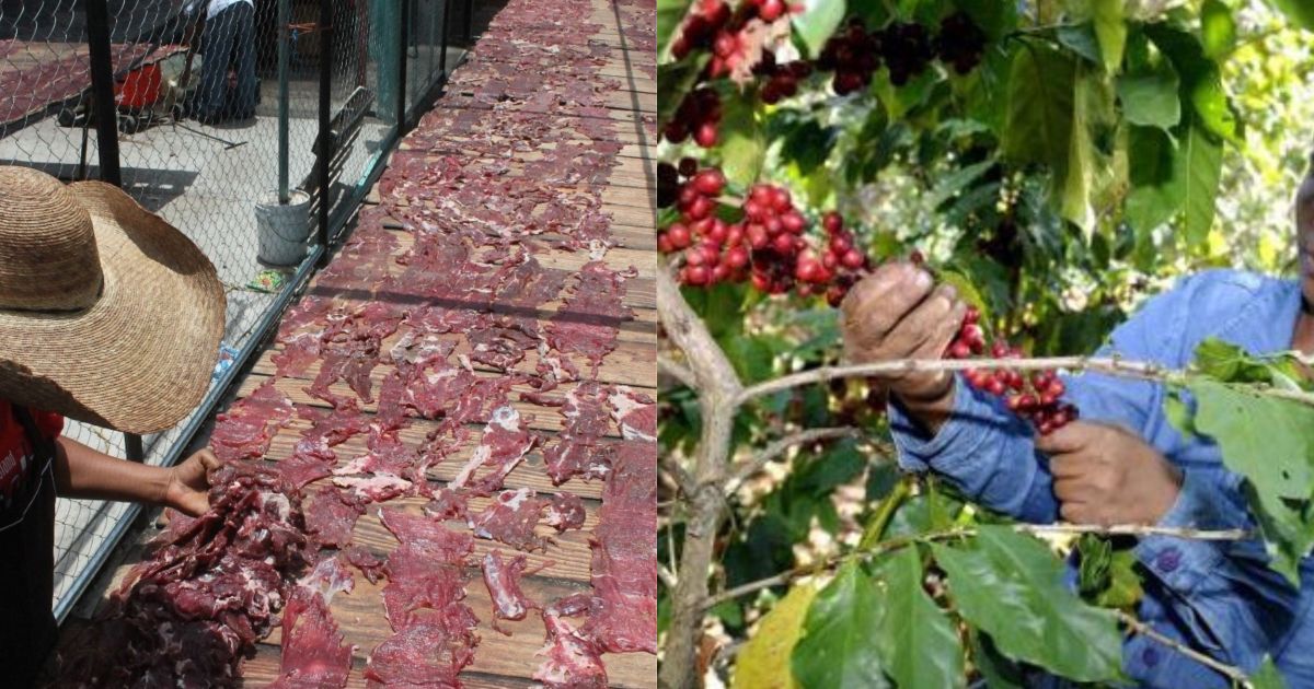 Morelos lanzará rutas de café, mezcal y cecina en 2026