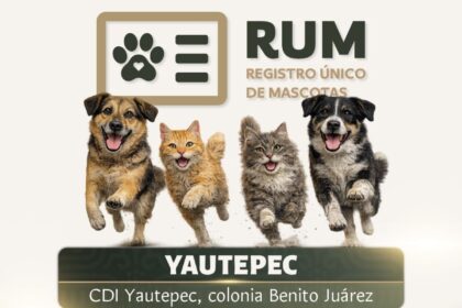 Morelos ofrece esterilización gratuita de mascotas en Yautepec