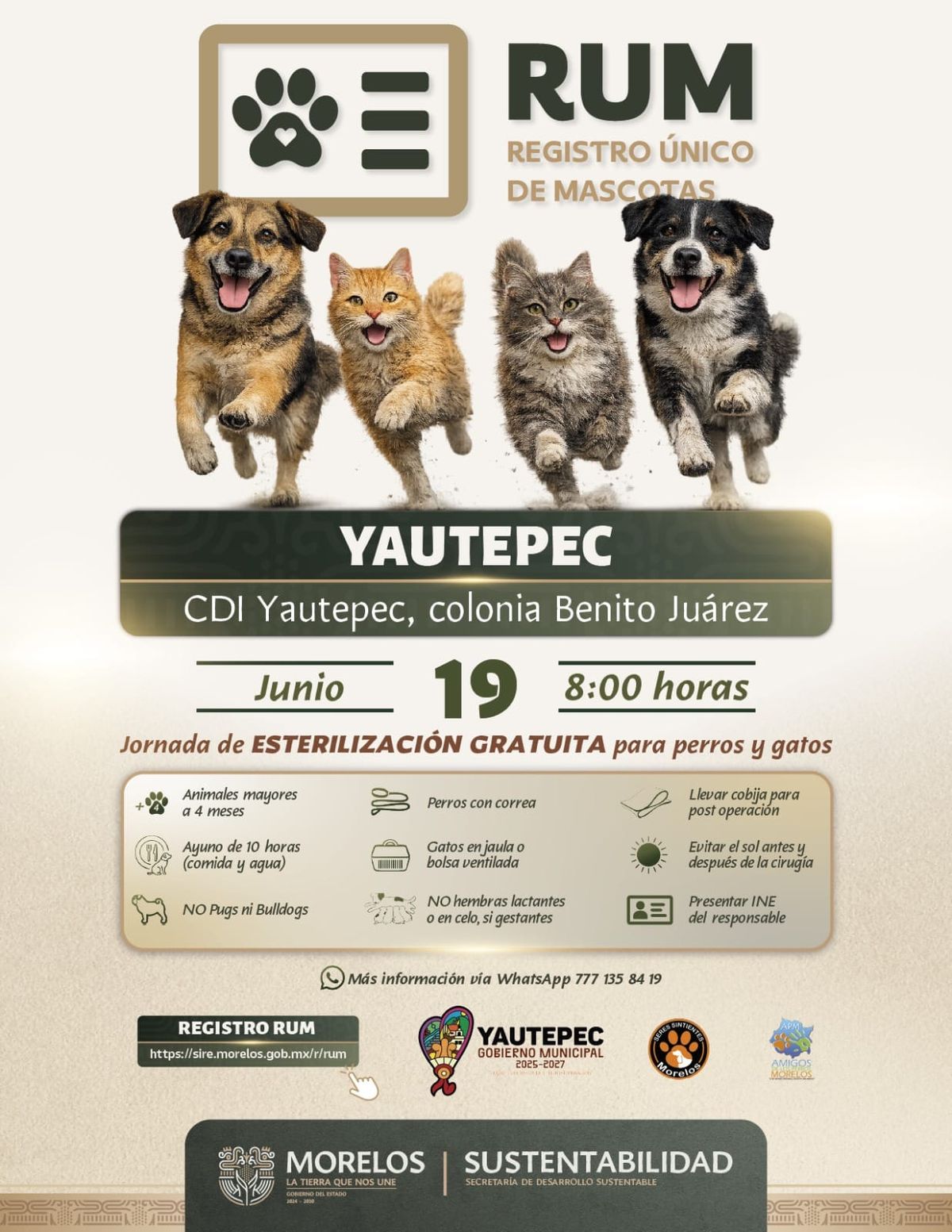 Morelos ofrece esterilización gratuita de mascotas en Yautepec