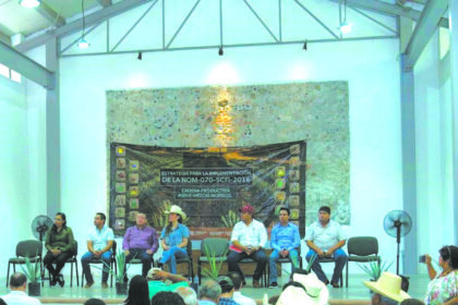Mezcal de Puente de Ixtla busca certificación para mercado nacional