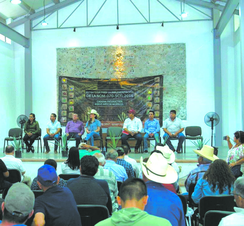 Mezcal de Puente de Ixtla busca certificación para mercado nacional