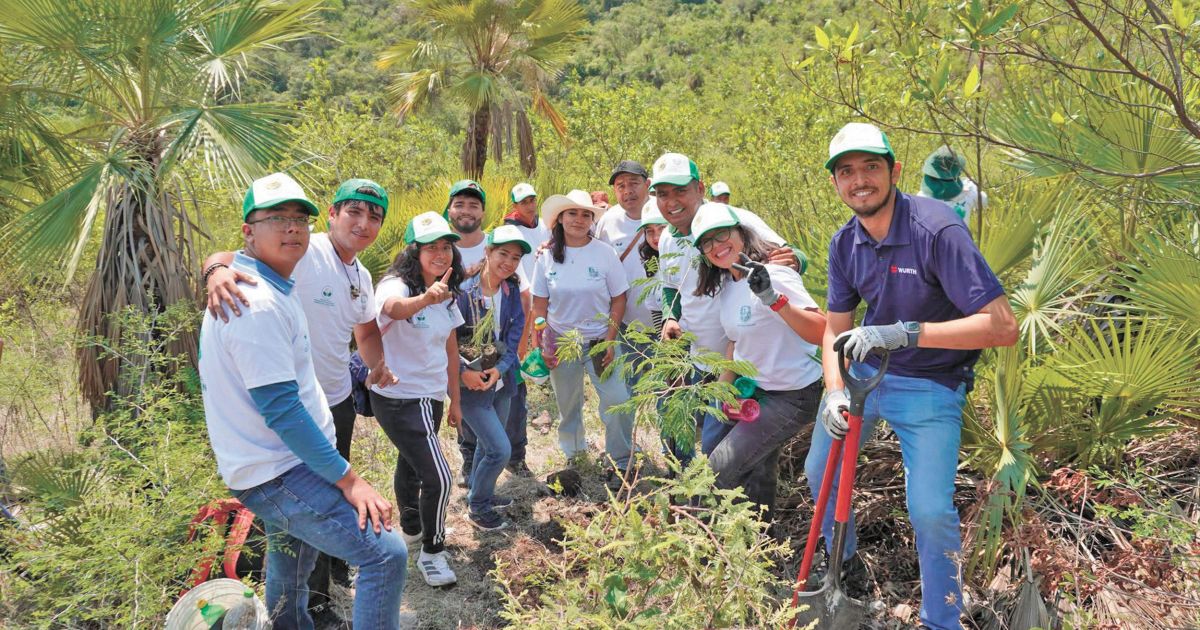 Plantan 600 árboles nativos para restaurar Sierra Montenegro
