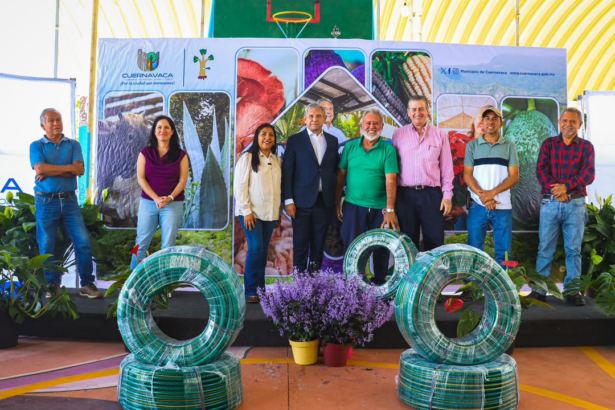 Aumenta inversión y apoyos a productores de plantas ornamentales