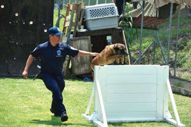 SSPC Morelos destaca el papel de binomios caninos en seguridad