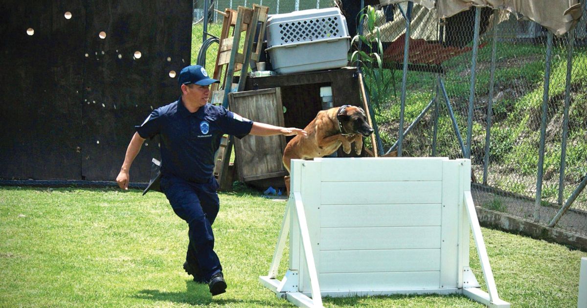 SSPC Morelos destaca el papel de binomios caninos en seguridad