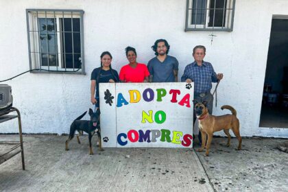 Cuernavaca promueve adopción responsable de perros rescatados