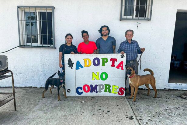 Cuernavaca promueve adopción responsable de perros rescatados