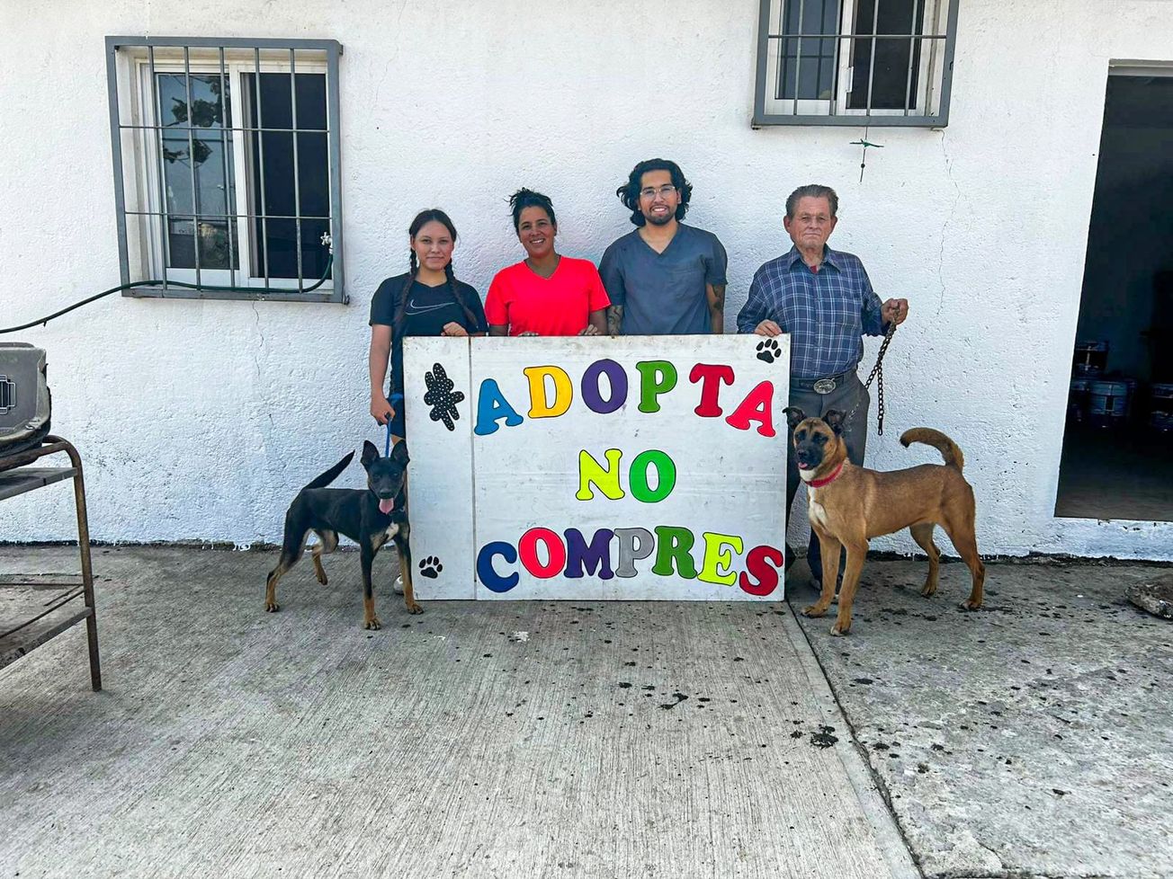 Cuernavaca promueve adopción responsable de perros rescatados