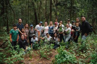 Reforestan más de 800 árboles en Cuernavaca con apoyo social