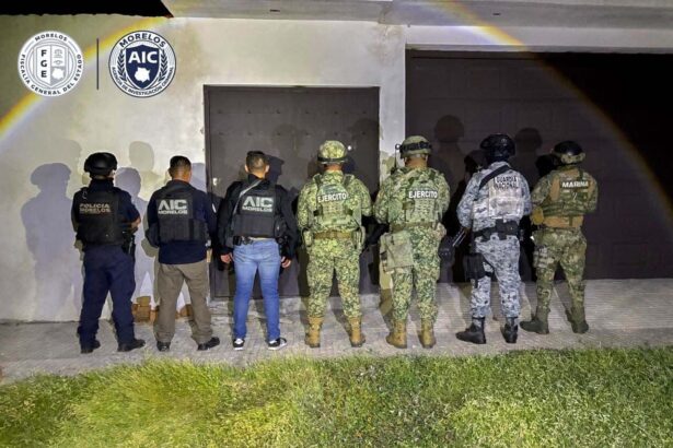 Aseguran león africano en vía pública de Jojutla, Morelos