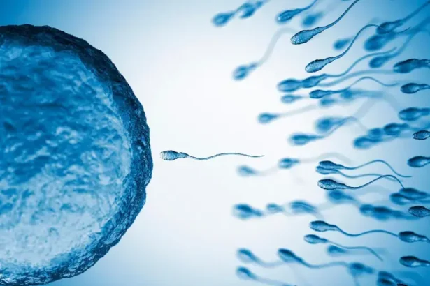 OMS prevé anticonceptivos masculinos en 5 a 10 años