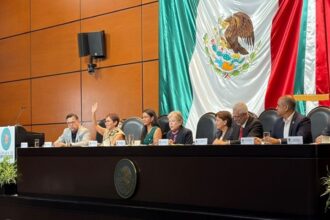 Semarnat propone registro público de infractores ambientales